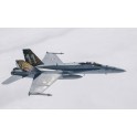 Maquette Avion F/A-18 Hornet Tiger Meet 2016
