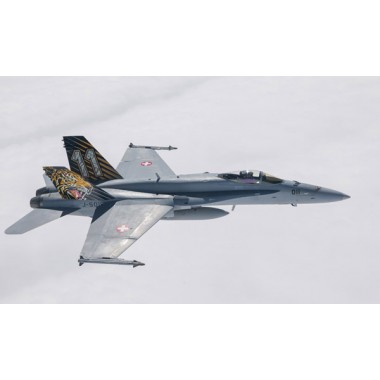 Maquette Avion F/A-18 Hornet Tiger Meet 2016