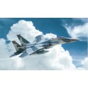 Maquette Avion F-15C Eagle