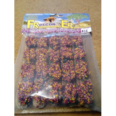 Rangée Multifleurs, 5 rangées Rangée Multifleurs, 5 rangées
