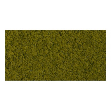 Foliage - vert clair Foliage - vert clair