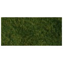 Foliage d'herbes sauvages - vert clair