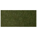 Foliage d'herbes sauvages - vert foncé