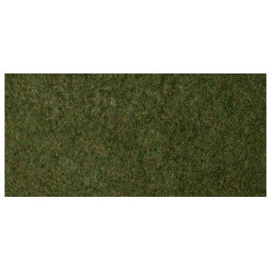 Foliage d'herbes sauvages - vert foncé Foliage d'herbes sauvages - vert foncé