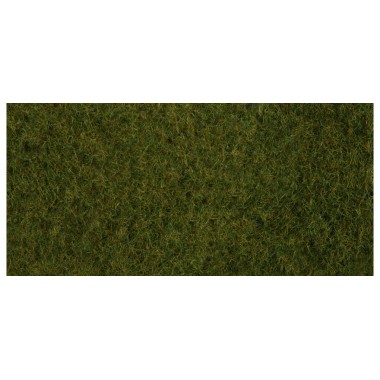 Foliage d'herbes sauvages - olive Foliage d'herbes sauvages - olive