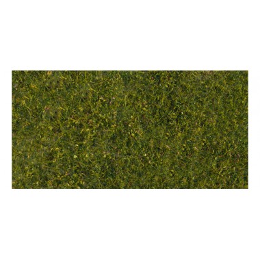 Foliage de pré - vert moyen Foliage de pré - vert moyen