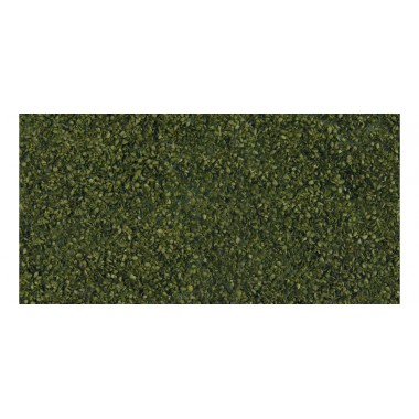 Foliage de feuilles - vert foncé Foliage de feuilles - vert foncé