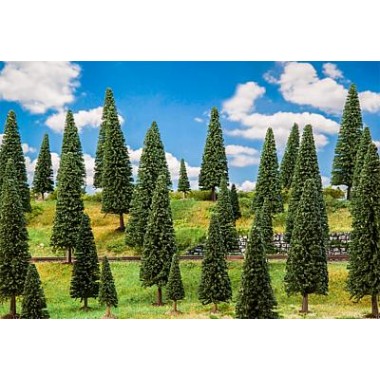 10 Sapins, assortis 10 Sapins, assortis