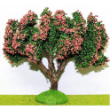 Arbre fruitier double branche 14 cm