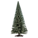 Sapin, 25 cm