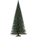 Sapin, 40 cm