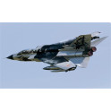 Maquette avion Tornado Black Panthers