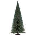 Sapin, 35 cm