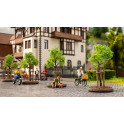 Jeunes arbres avec tuteur, 4 cm de haut, 6 pièces