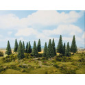 Sapins, 16 pièces, 4-10 cm