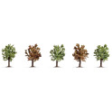 Arbres fruitiers en fleurs, 5 pcs, 8 cm de haut