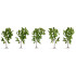 Noch NOCH25630 - Bouleaux, 5 pcs, 10 cm de haut