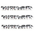 Set XL Vaches, noir-blanc, 21 figurines